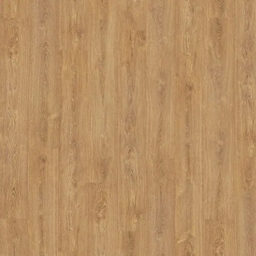 卡塔哥橡木 Cartago Oak 樣板
