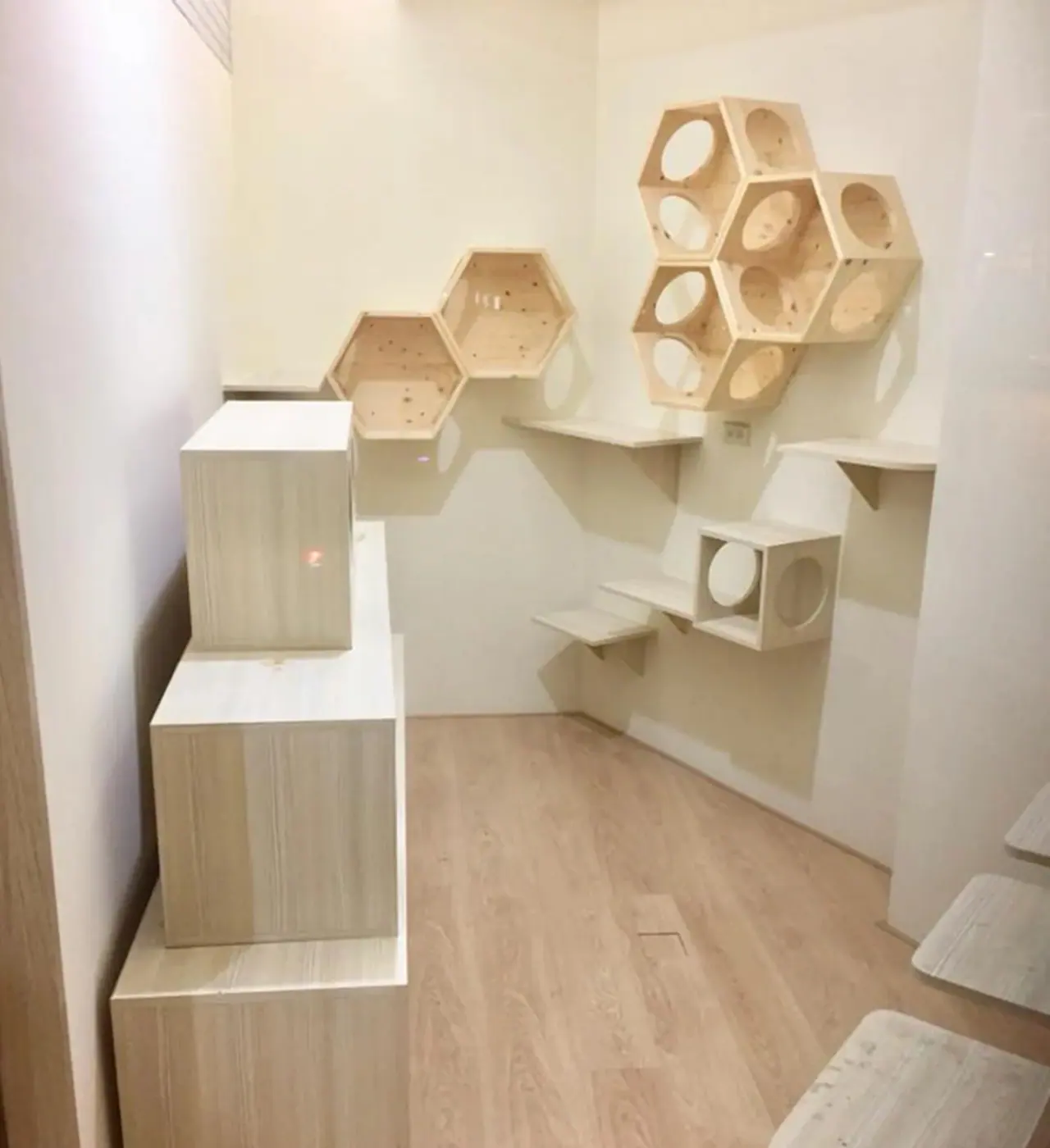 文化古橡 實作完成圖