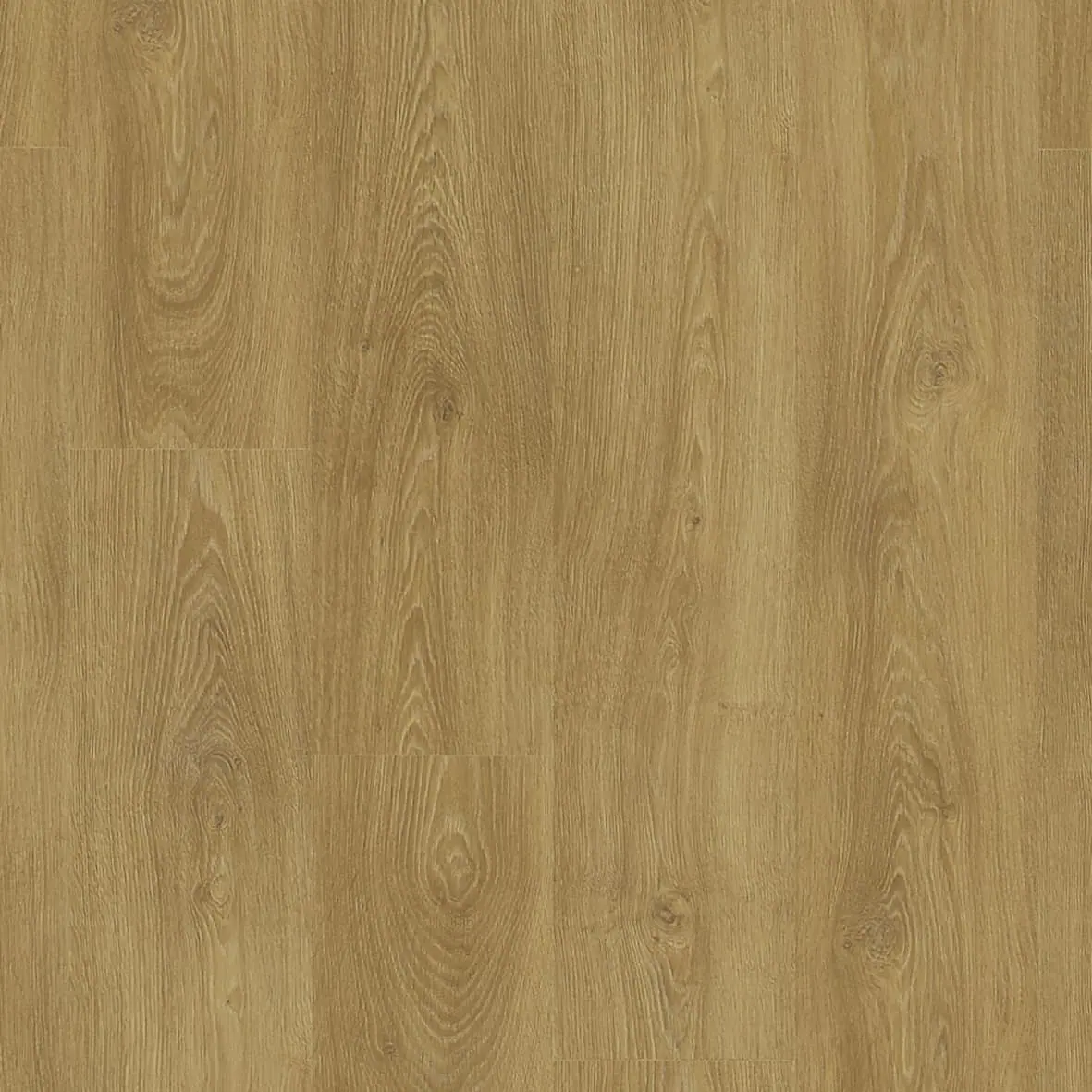 歐洲橡木 European Oak 樣板